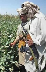 The Taliban's cash generating renewable resource. Opium 