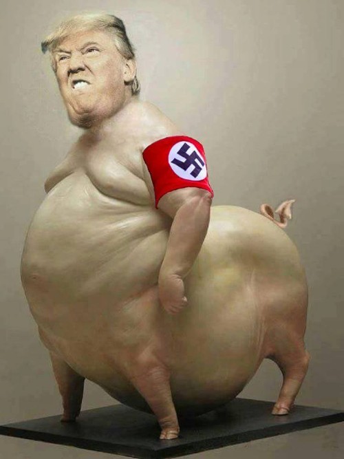 Image result for Nazi Pig Trump
